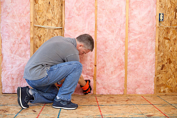 Types of Insulation We Offer in Bellevue, WA